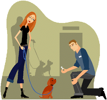 Get tips for dog training